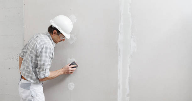 Best Asbestos and Lead Testing During Mold Inspection  in Brightwaters, NY