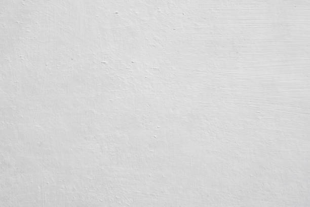 Best Attic Mold Removal  in Brightwaters, NY