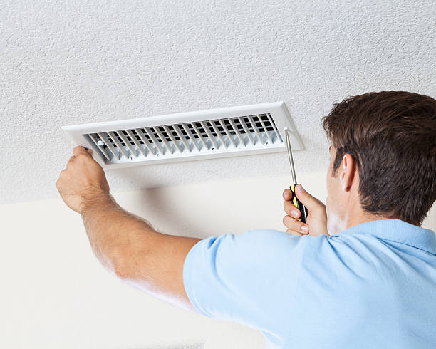 Best Basement Mold Removal  in Brightwaters, NY